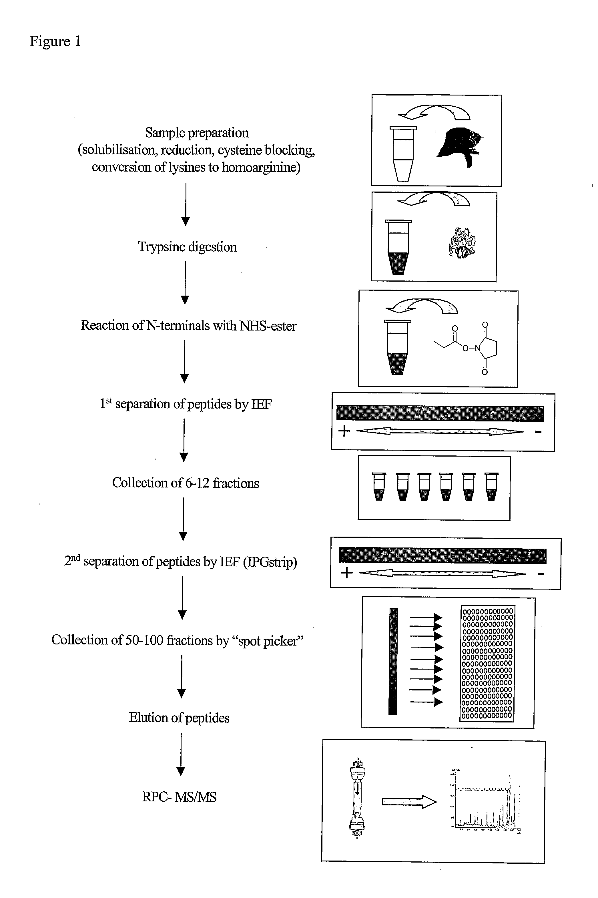 Method and Kit for Peptide Analysis