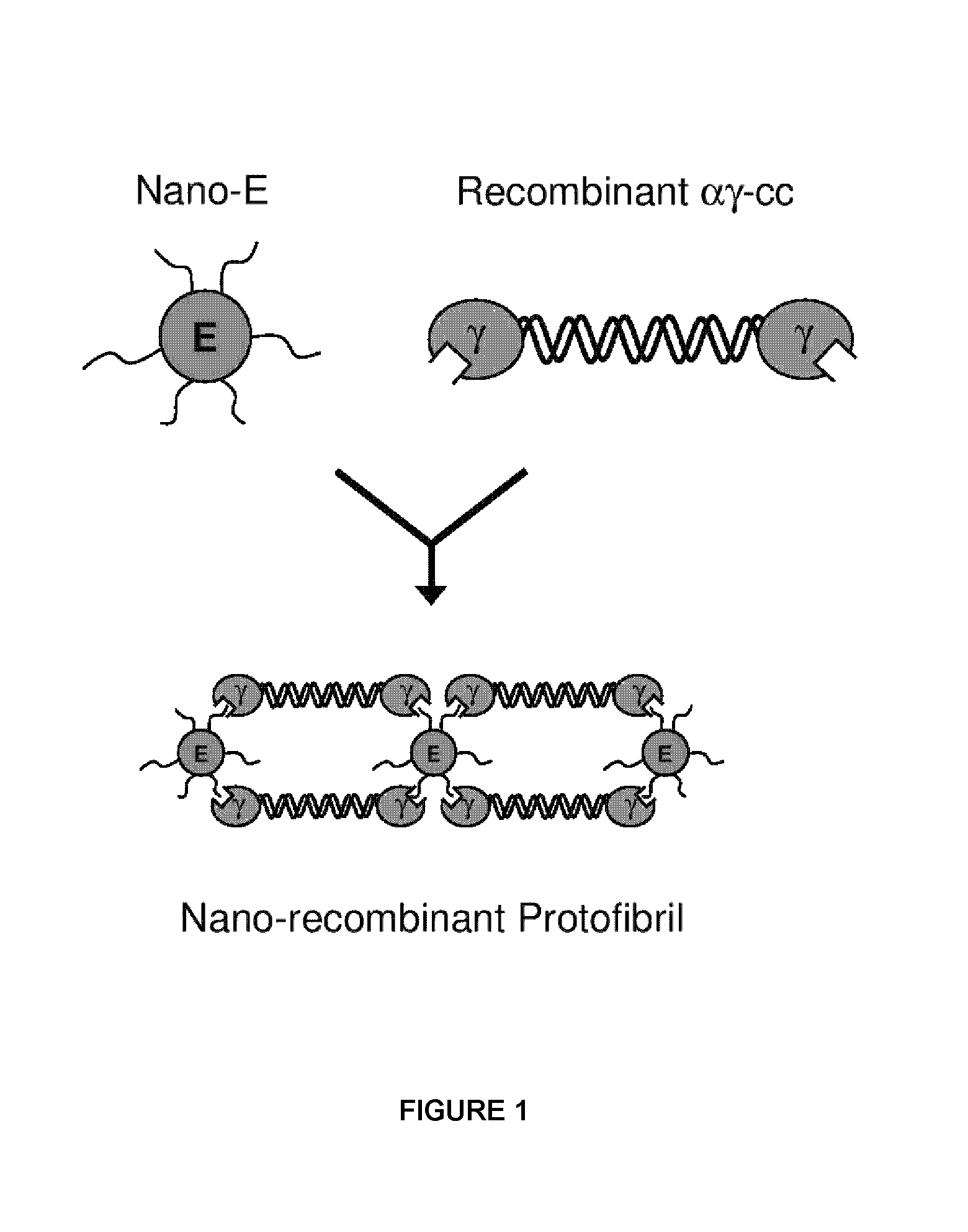 Nano-recombinant fibrinogen for fibrin sealants