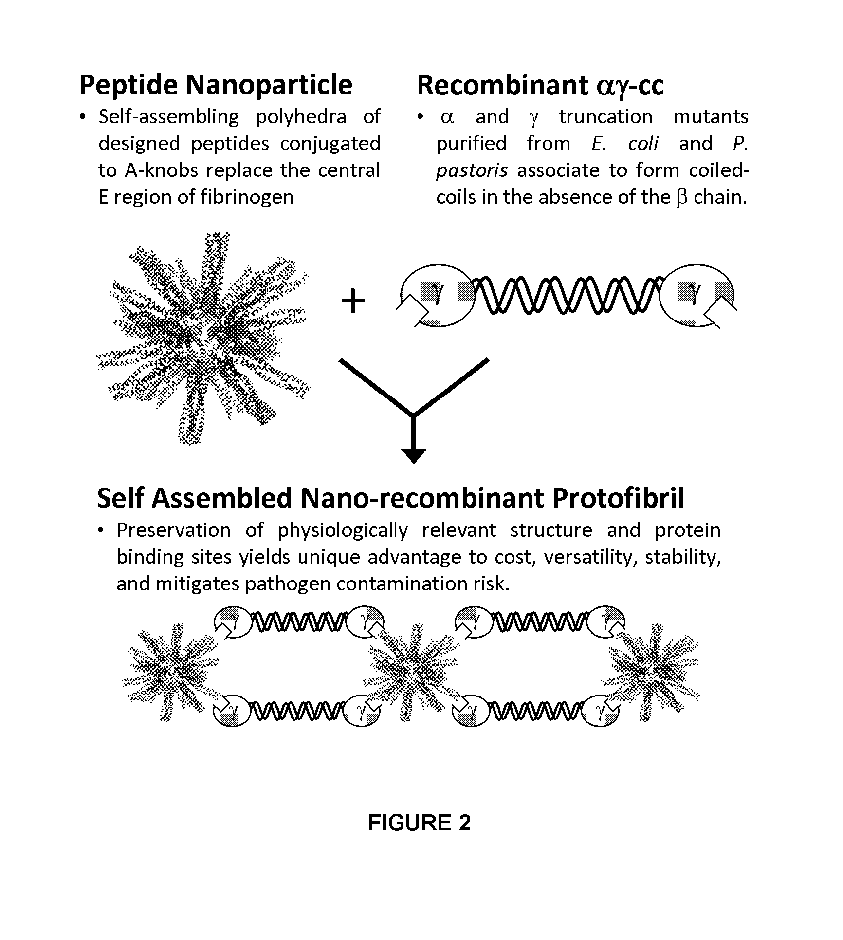 Nano-recombinant fibrinogen for fibrin sealants