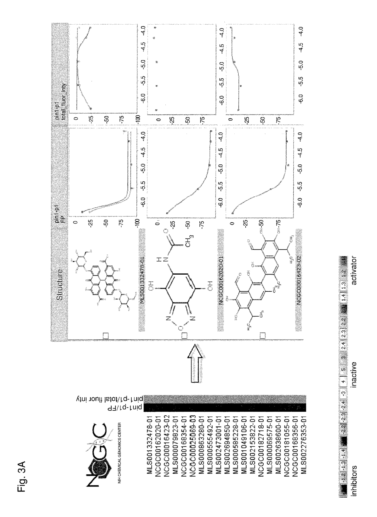 Methods and compositions for the inhibition of Pin1