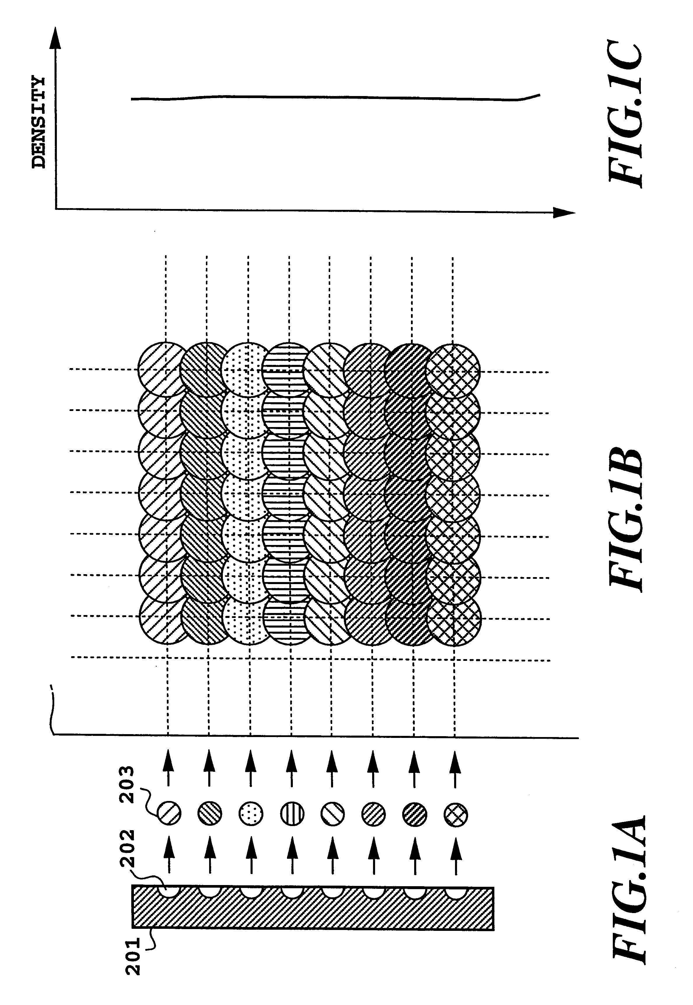 Adjustment method of dot printing positions and a printing apparatus