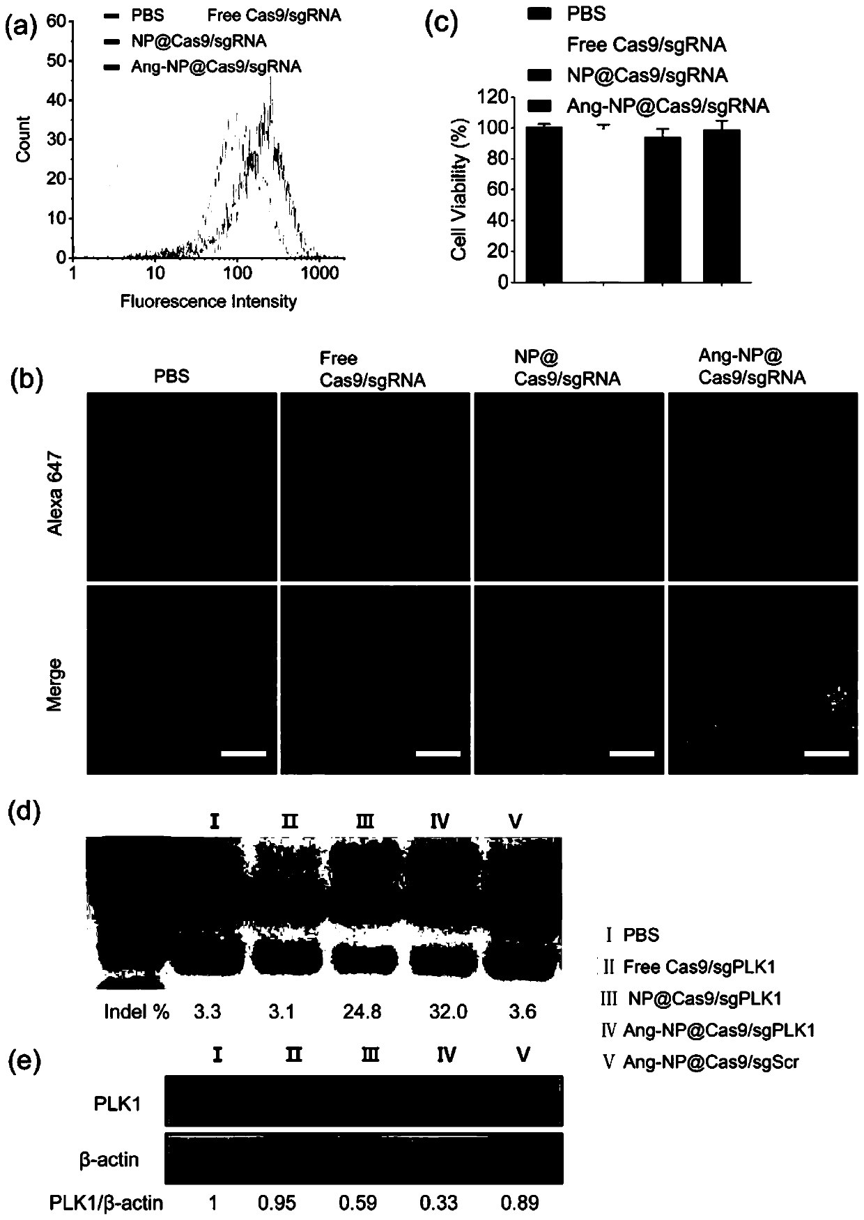 Drug carrier, brain-targeted nano drug based on CRISPR gene editing technology, and preparation method and application of drag carrier and nano drug