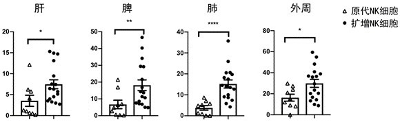 Application of NK (Natural Killer) cells, NK cell reinfusion preparation and combined preparation