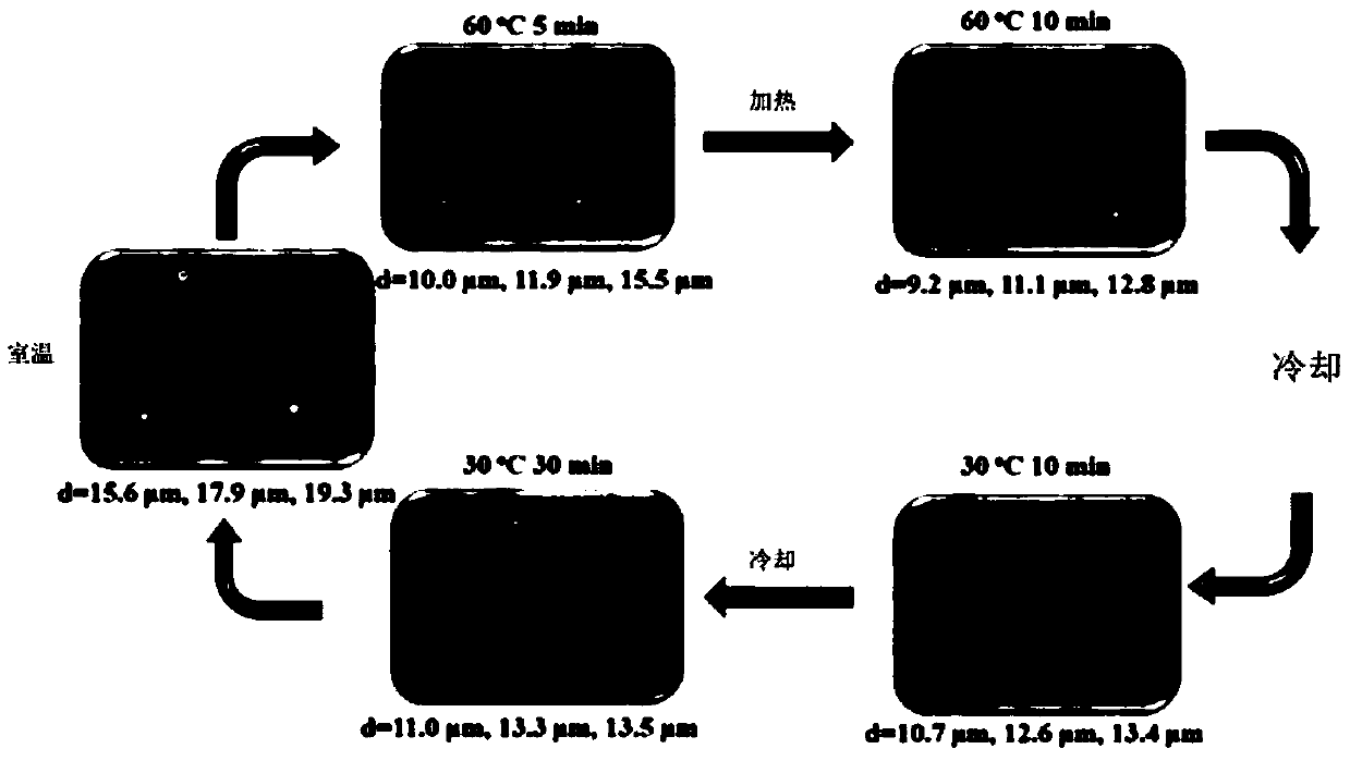 Embolism agent as well as preparation method and application thereof