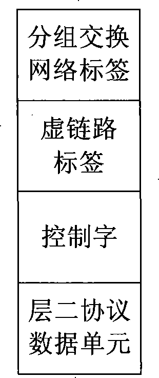 Method, device and MPLS communication system for MPLS packet forward