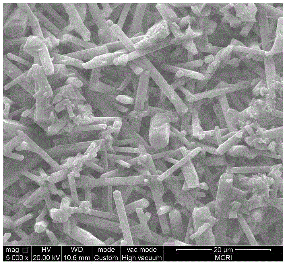 A kind of preparation method of porous silicon nitride ceramics with low metal ion residue