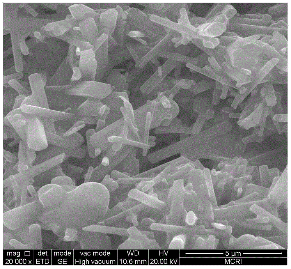 A kind of preparation method of porous silicon nitride ceramics with low metal ion residue
