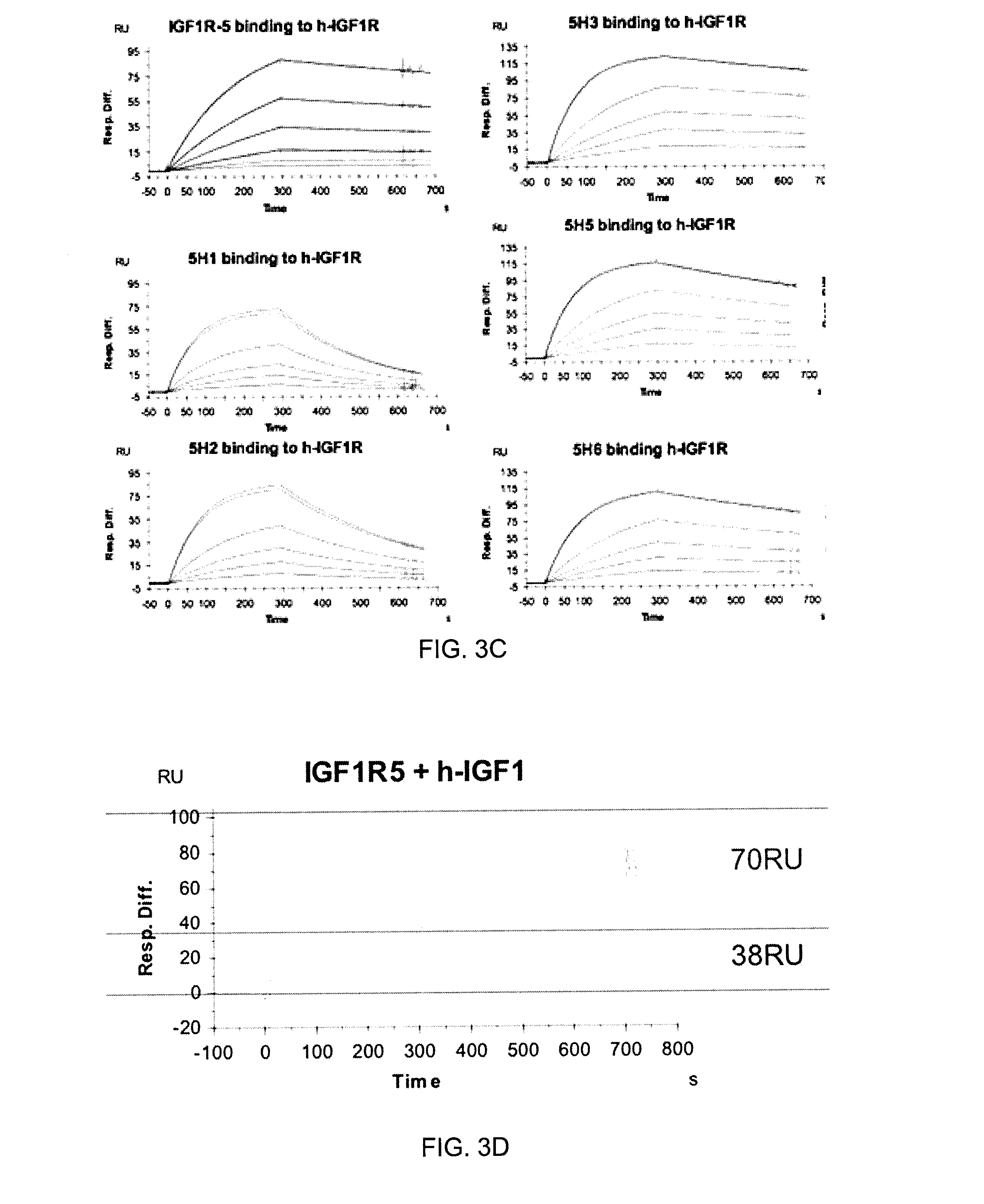 Insulin-like growth factor 1 receptor -specific antibodies and uses thereof