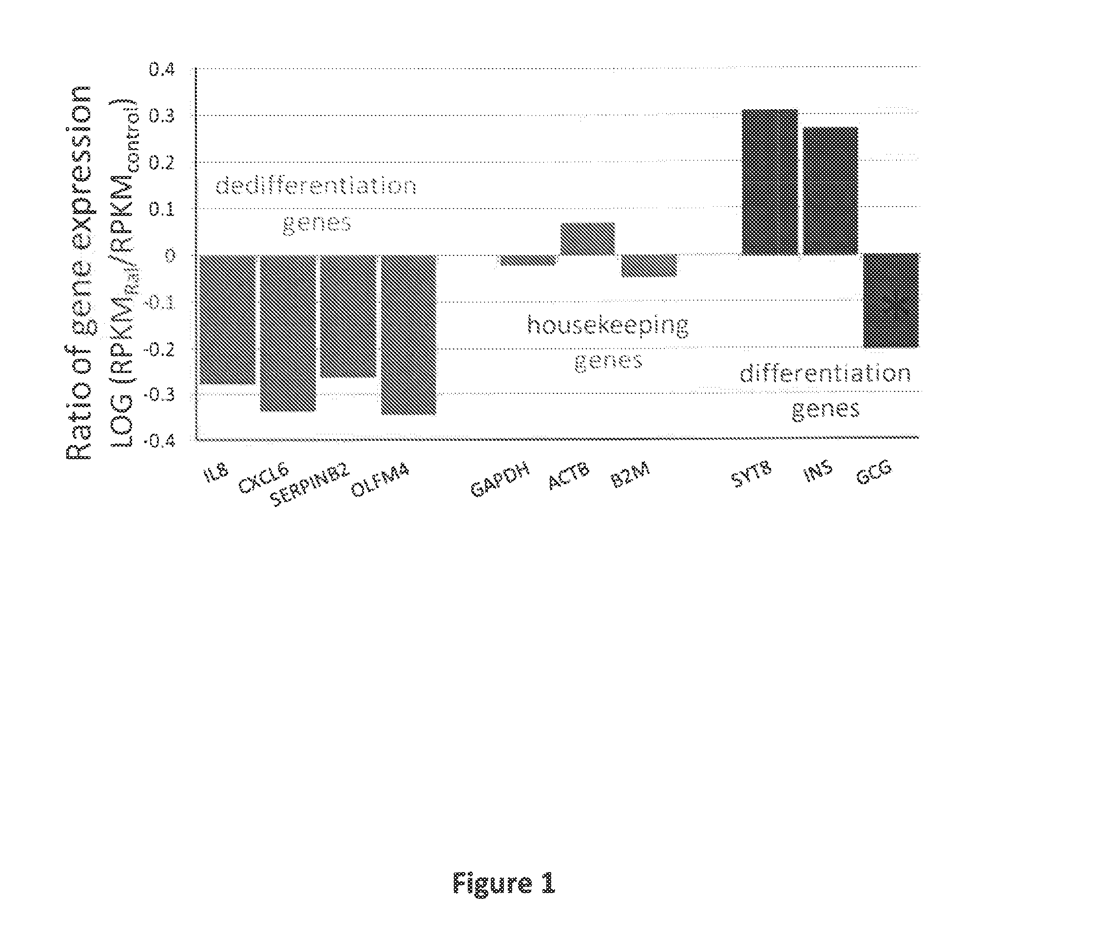 Compositions and methods for maintaining and improving pancreatic islet cell function and stability