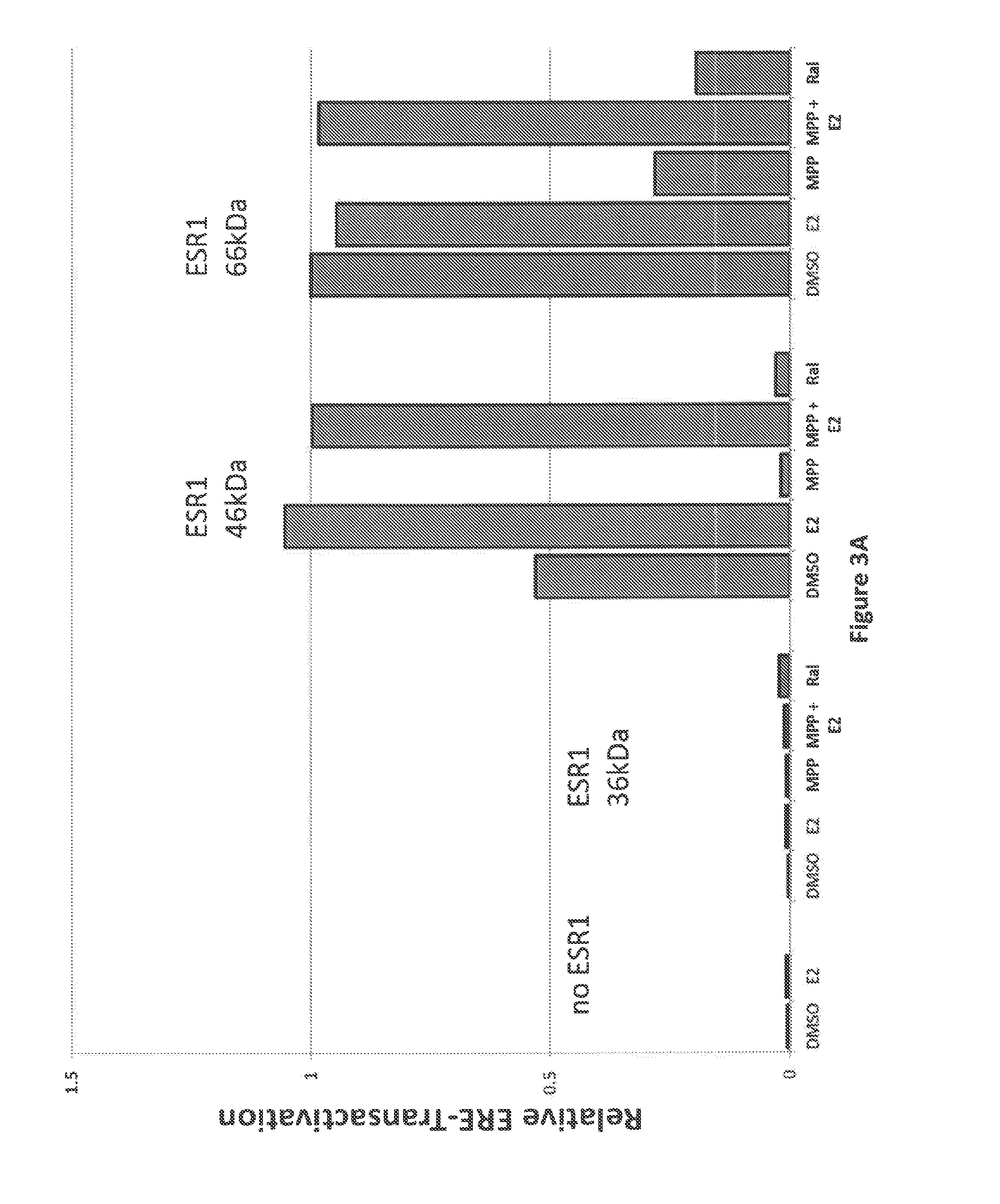 Compositions and methods for maintaining and improving pancreatic islet cell function and stability