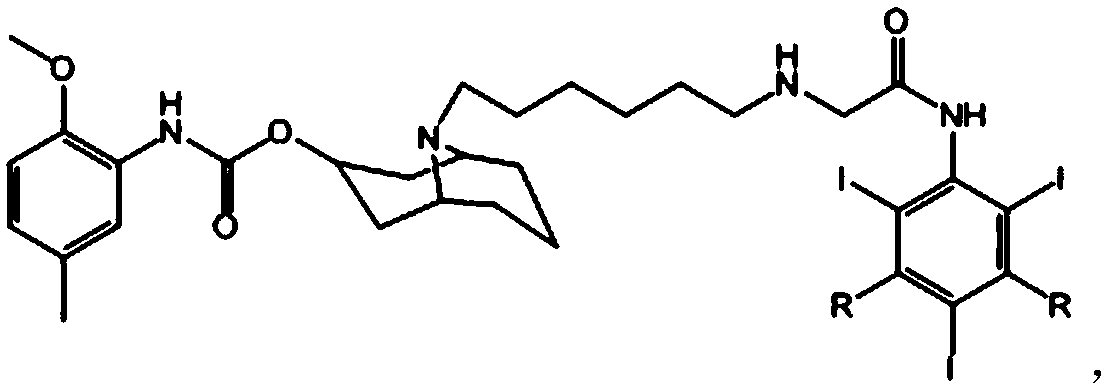 9-aza-bicyclo[3.3.1] nonane coupled iodine-rich compounds as well as preparation method and application thereof