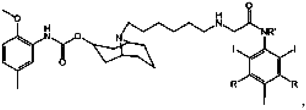 9-aza-bicyclo[3.3.1] nonane coupled iodine-rich compounds as well as preparation method and application thereof