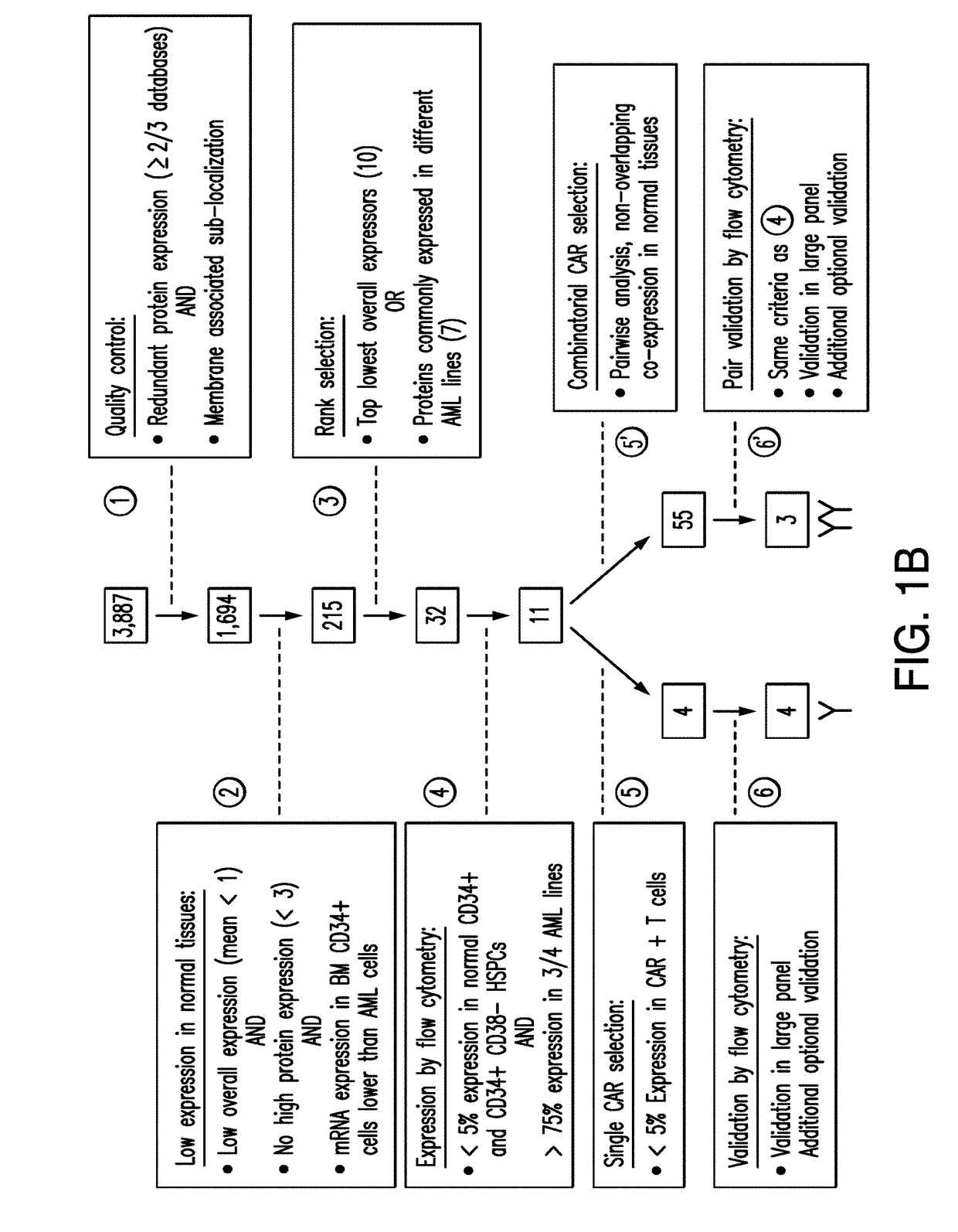 Cancer antigen targets and uses thereof