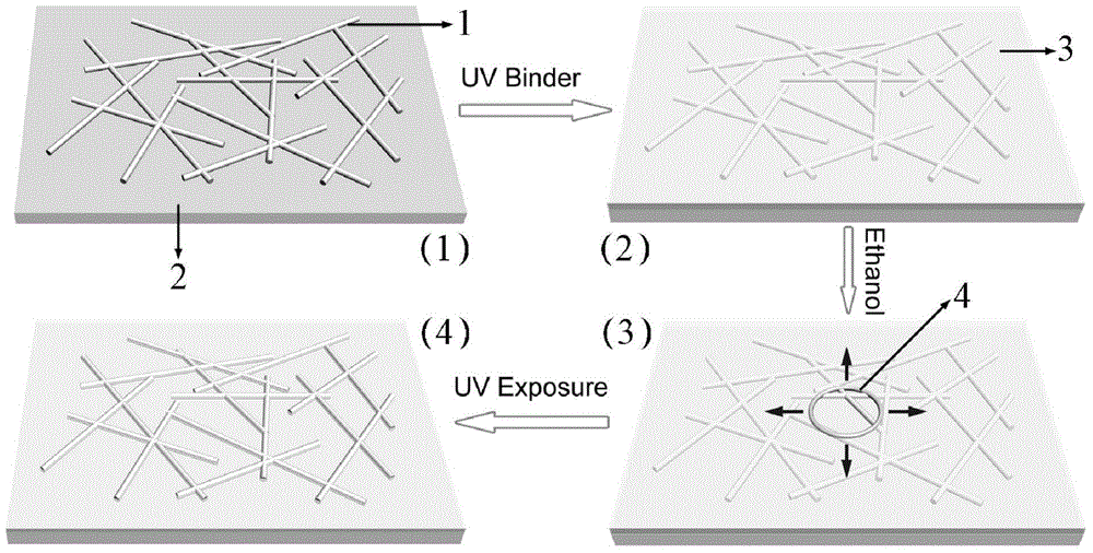 Preparation method for transparent silver nanowire conducting electrode