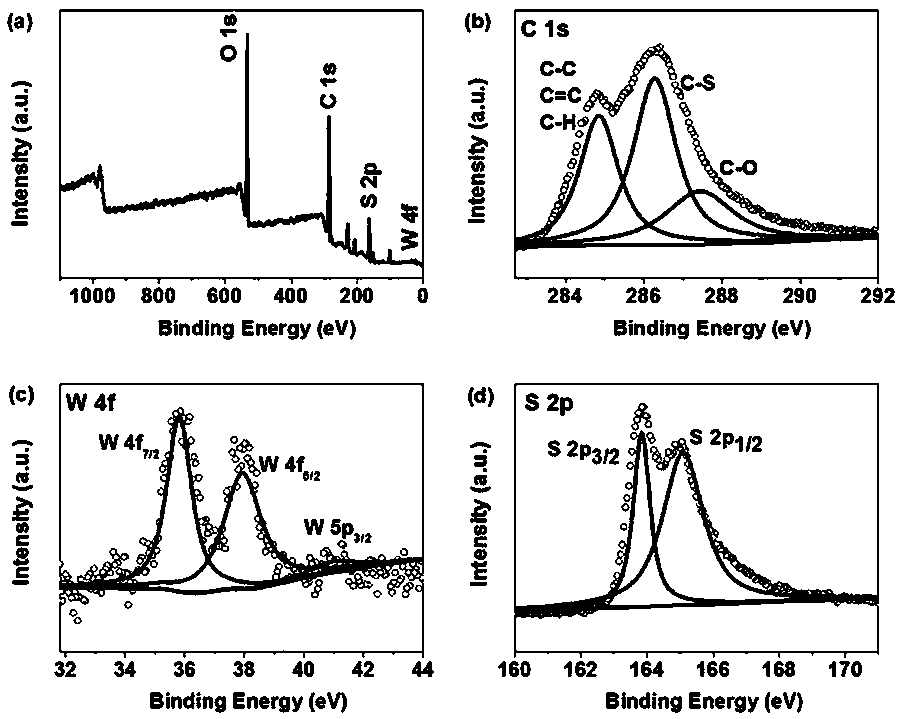 Preparation method of tungsten sulfide doped conductive polythiophene counter electrode used for dye-sensitized solar cell