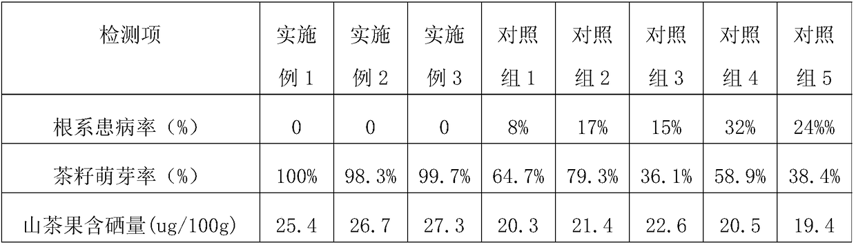 Planting method for selenium-enriched camellia japonica