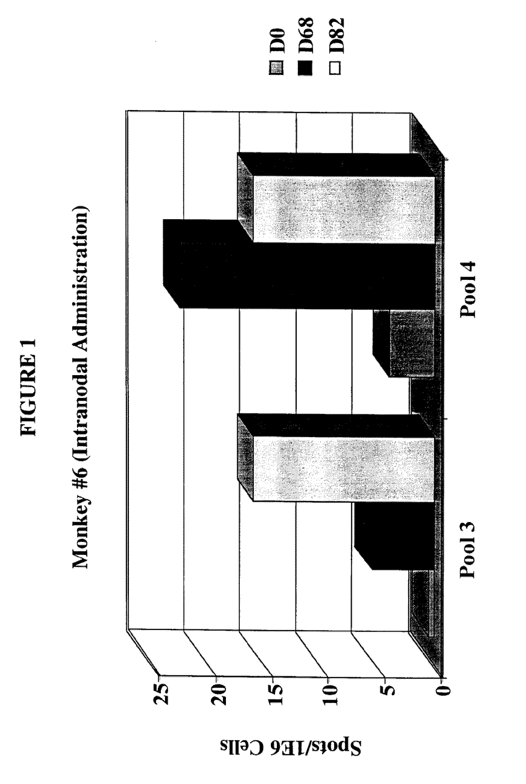 Methods of Inducing and/or Enhancing an Immune Response To Tumor Antigens