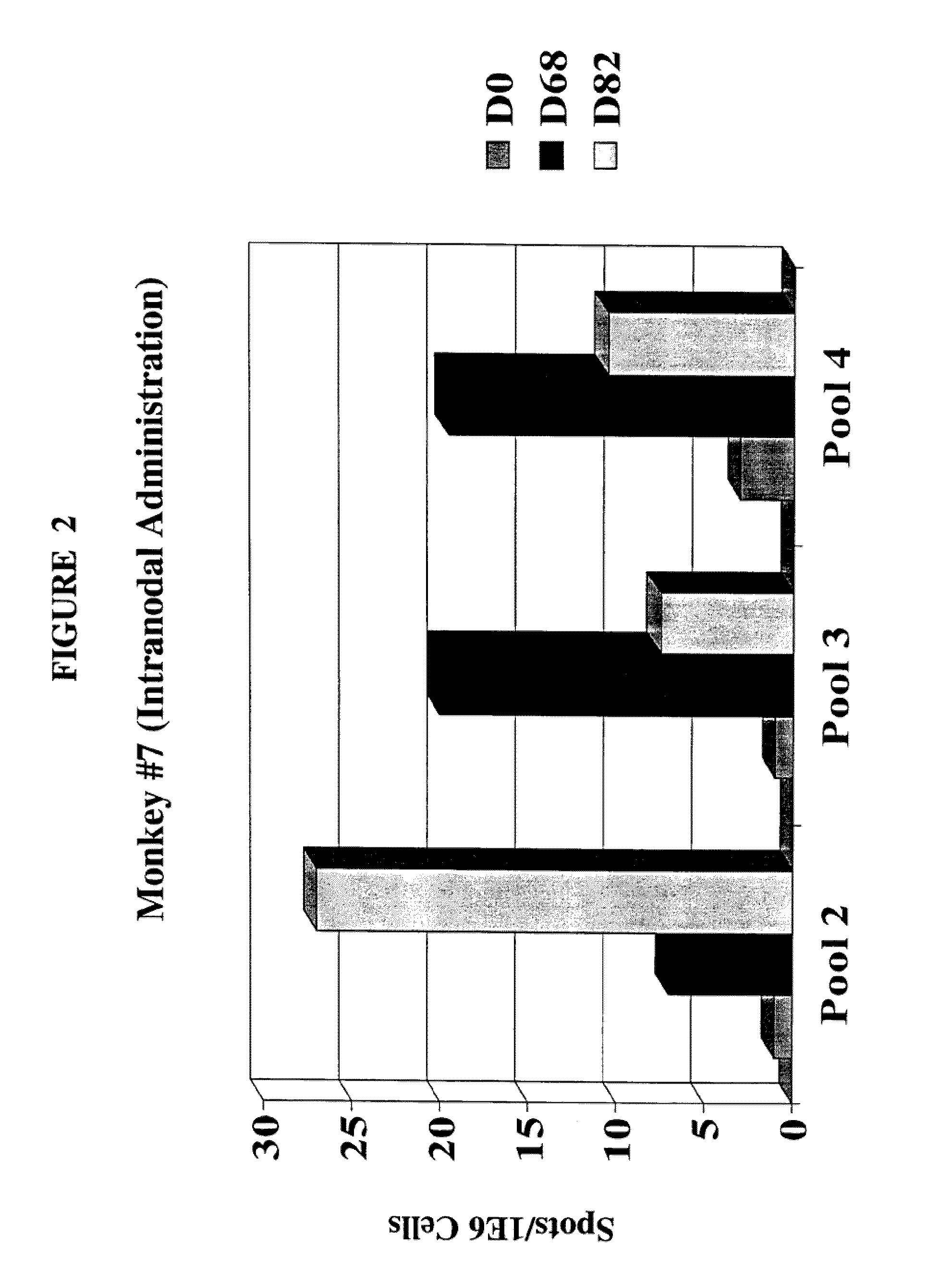 Methods of Inducing and/or Enhancing an Immune Response To Tumor Antigens