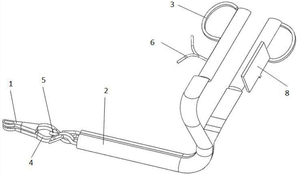 Visible forceps for taking out foreign body in esophagus