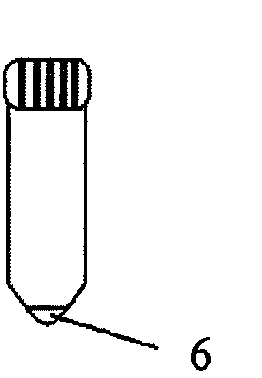 Kit for processing human marrow, cord blood and peripheral blood cells and cell processing method