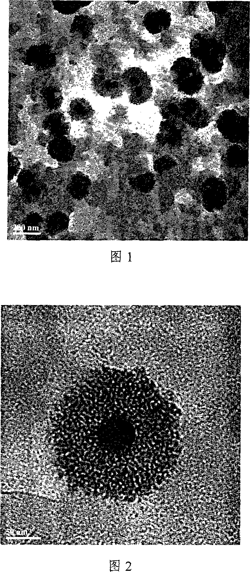 Nano particle of enwrapping water-soluble active ingredient, and preparation method