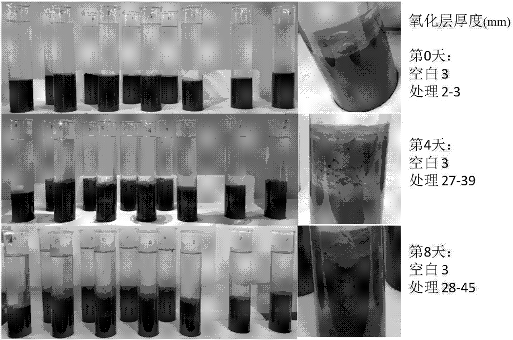 An environmentally friendly calcium nitrate slow-release granule for repairing black and odorous river bottom mud and its preparation method