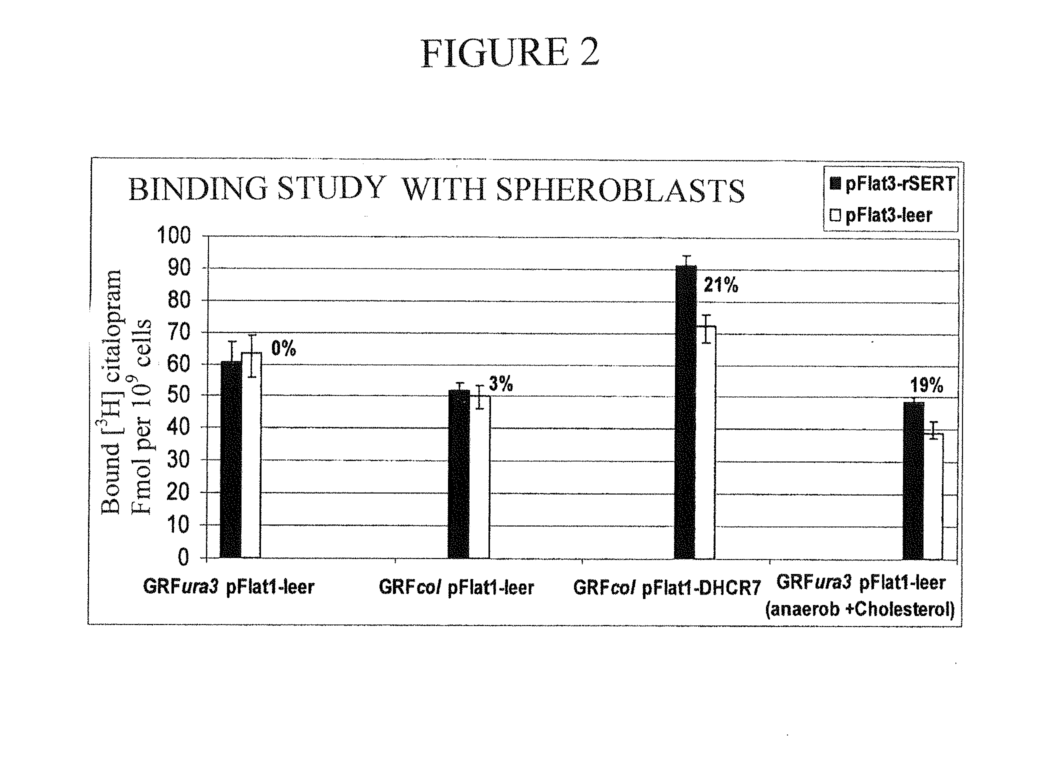 Microorganism for expressing a human membrane protein