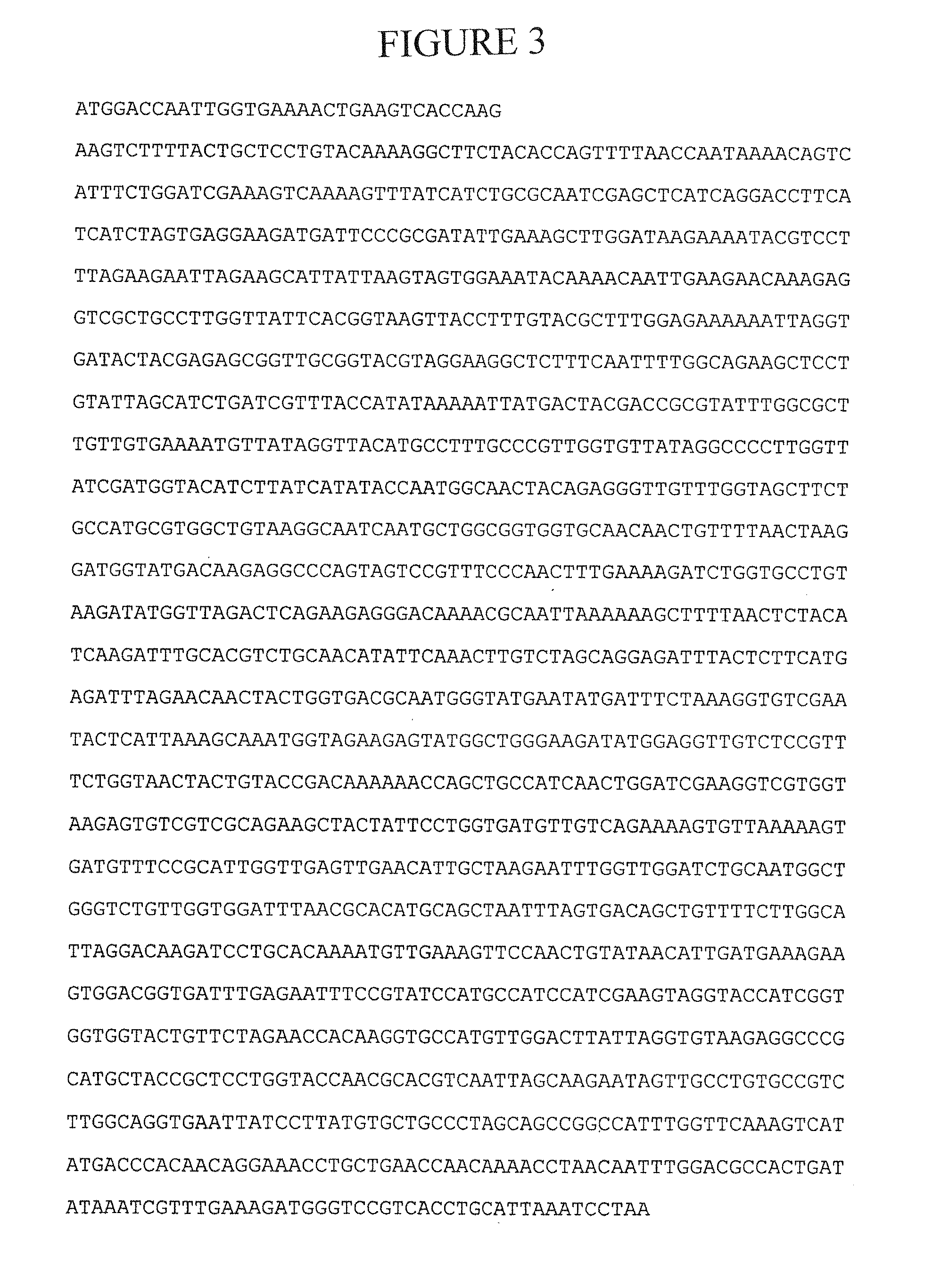 Microorganism for expressing a human membrane protein