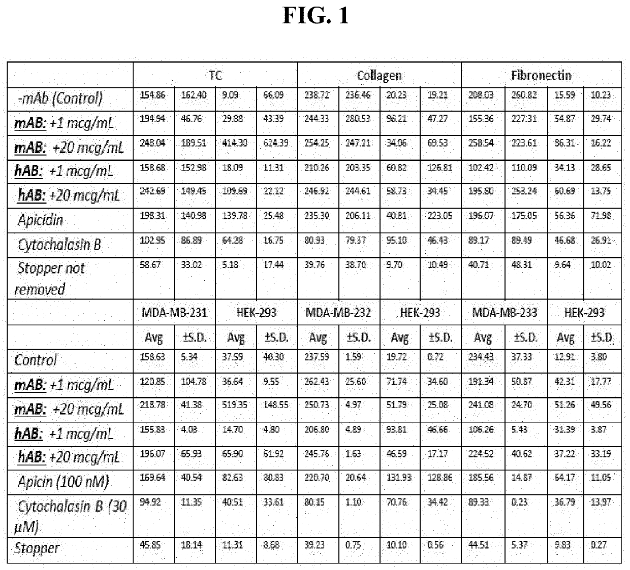 Antibodies directed to filamin-a and therapeutic uses thereof