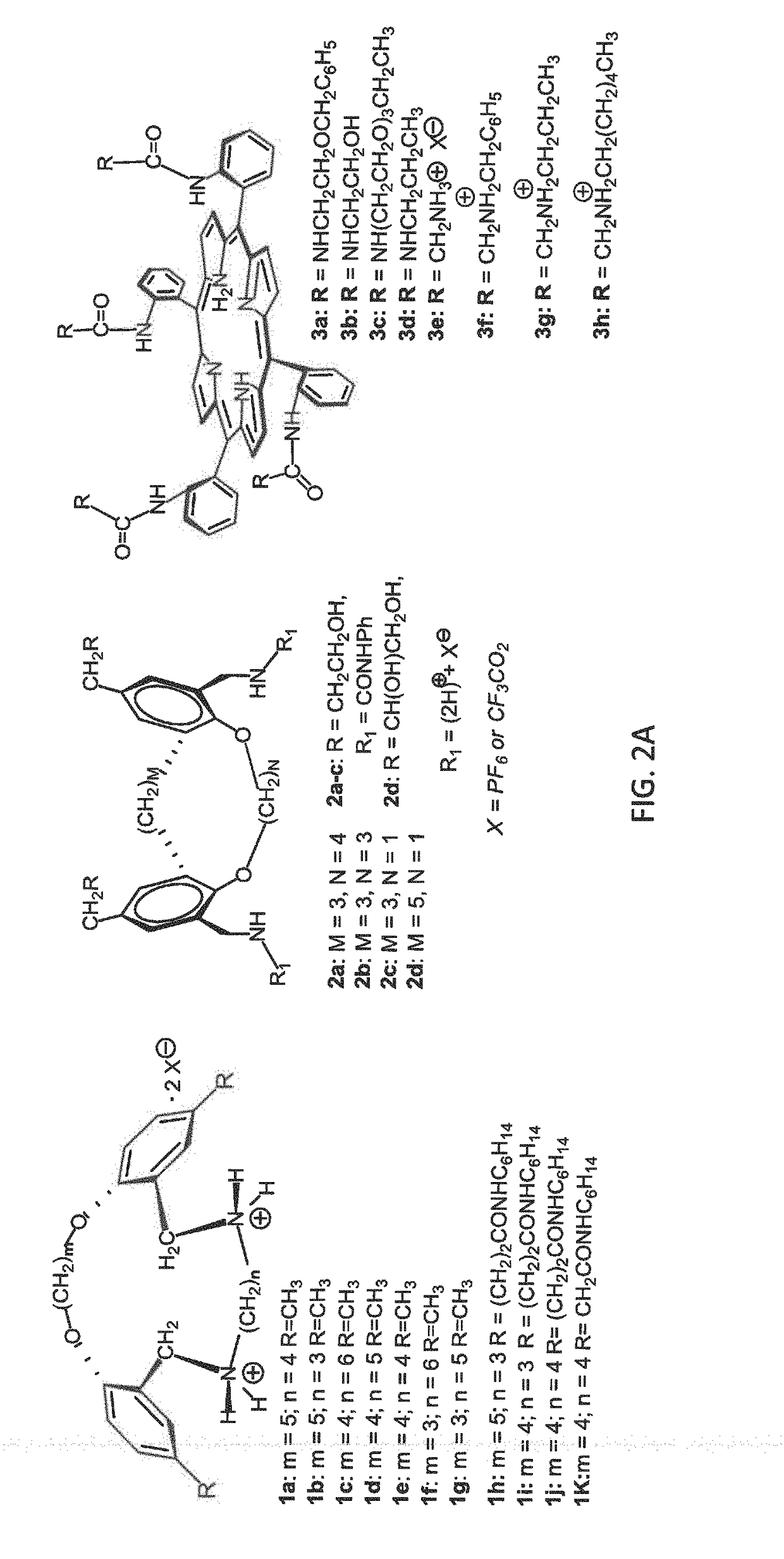 Compounds for inhibiting bacterial growth via phosphatidylglycerol binding