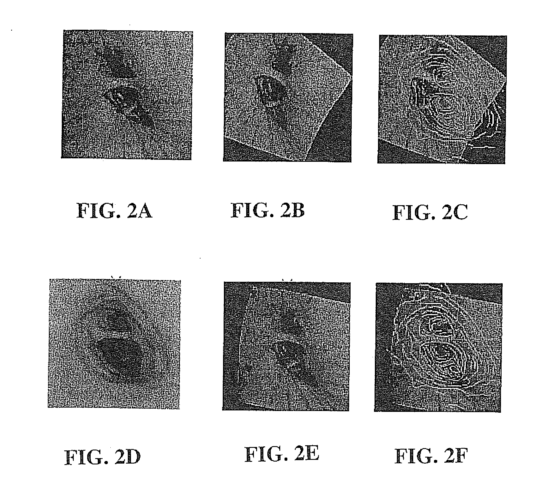 Fast 3d-2d image registration method with application to continuously guided endoscopy