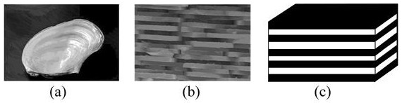 Heterogeneous bionic structure design and directional energy deposition additive manufacturing method thereof