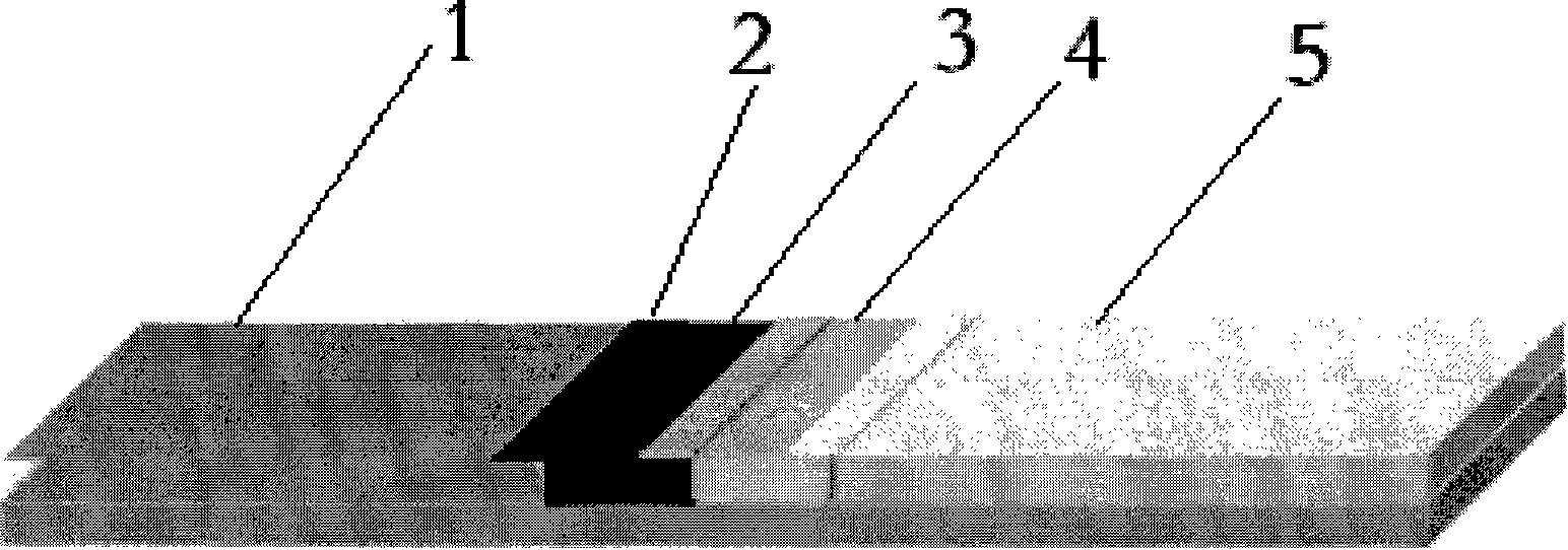 Method for fast testing human ABO/Rh/MN blood type and kit