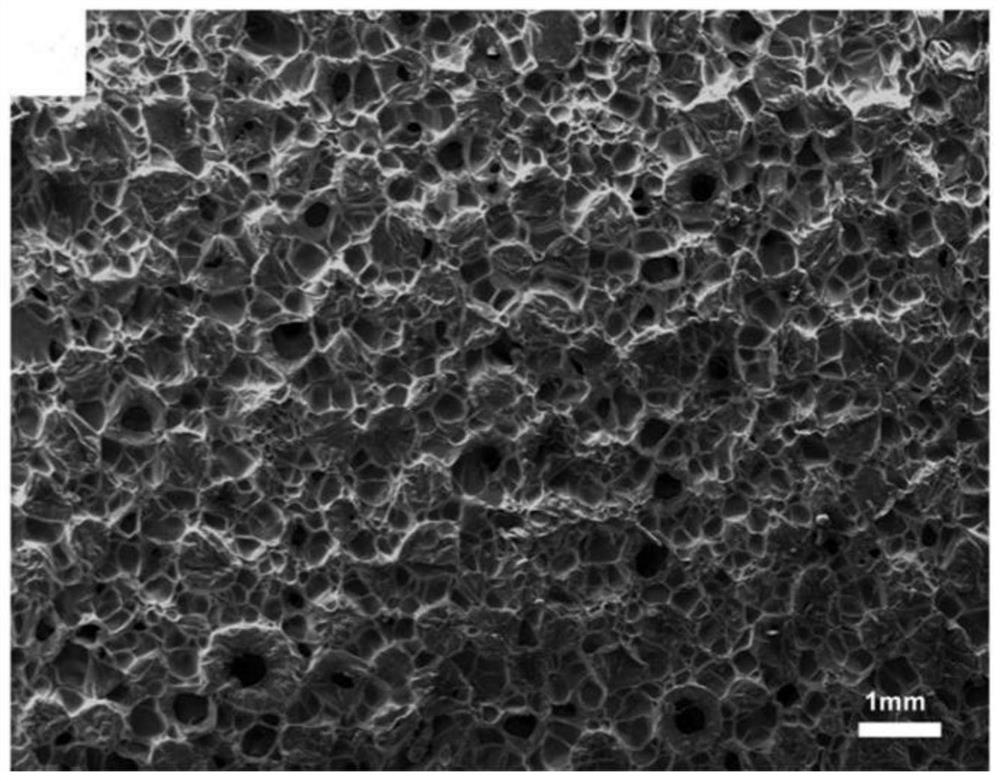 Broad-spectrum antibacterial antioxidant silk fibroin band-aid as well as preparation and application thereof