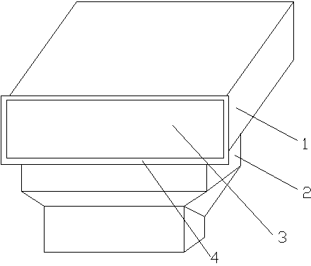 Discharge chute of color sorter