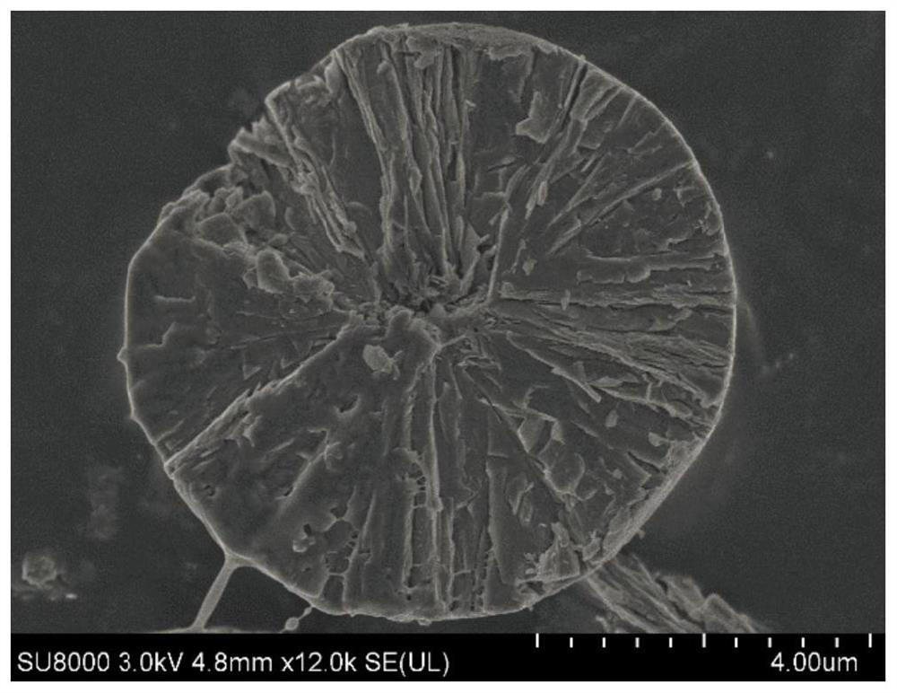 A highly radial, highly compacted nickel-cobalt-lithium aluminate precursor and preparation method thereof