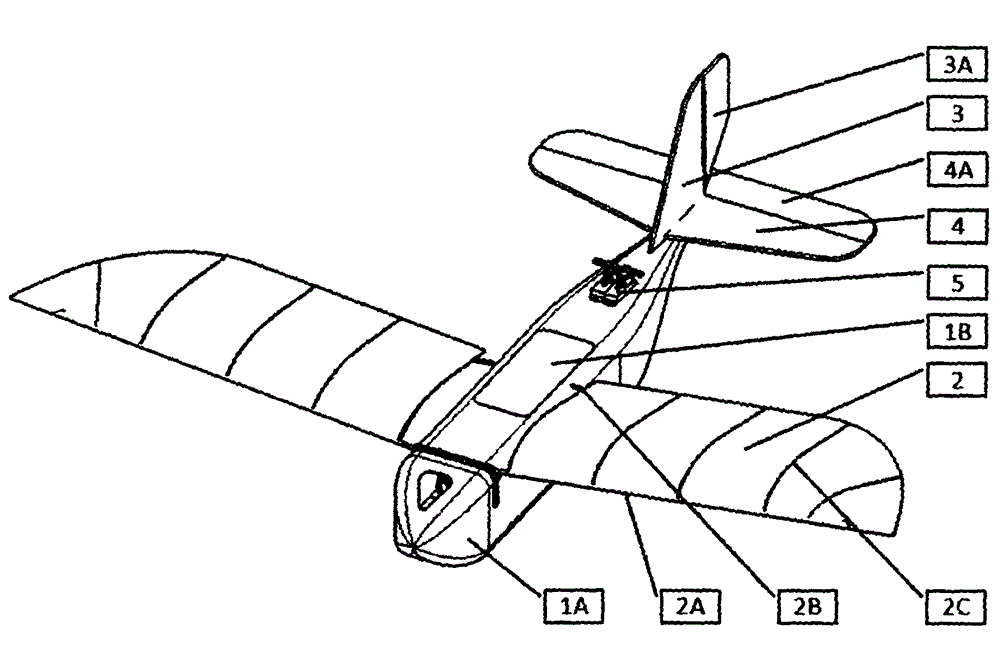 Flapping wing flight adopting compound flapping mode