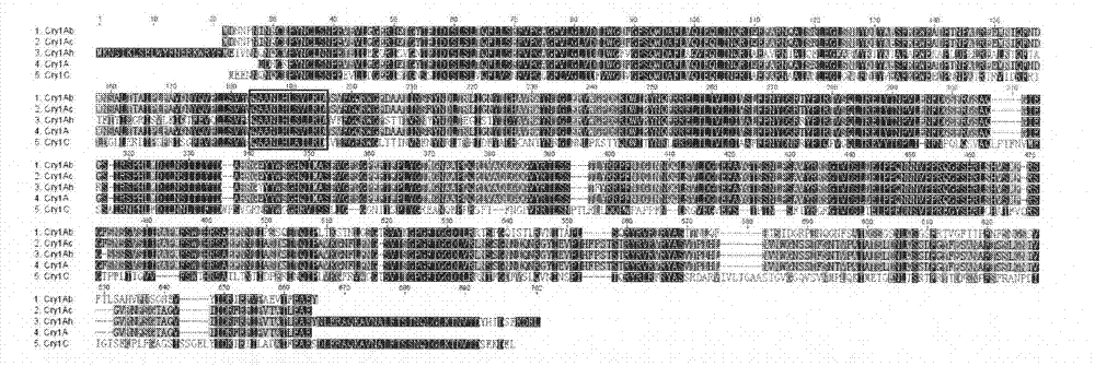 Preparation method of hybrid tumor of monoclonal antibody inhibiting common bacillus thuringiensis CryI, and application of monoclonal antibody thereof