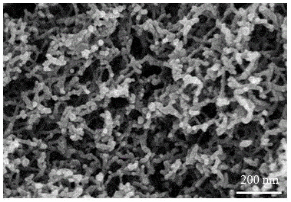 Carbon aerogel prepared from superfine nano aerogel obtained through TEMPO (2,2,6,6-tetramethylpiperidinooxy) oxidation and preparation method of carbon aerogel