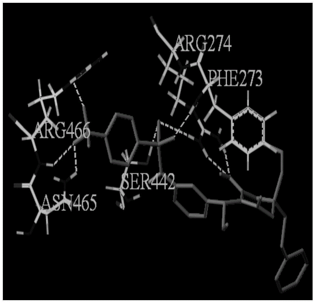 Application of tipranavir to breast cancer-resistant drug and breast cancer-resistant drug