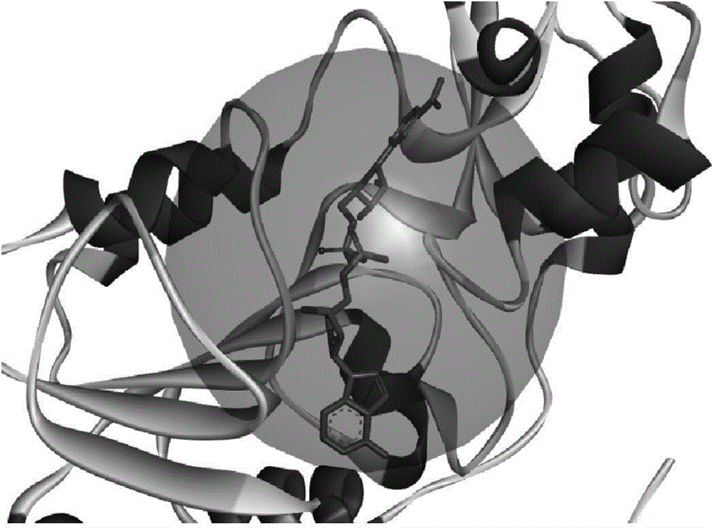 Application of tipranavir to breast cancer-resistant drug and breast cancer-resistant drug