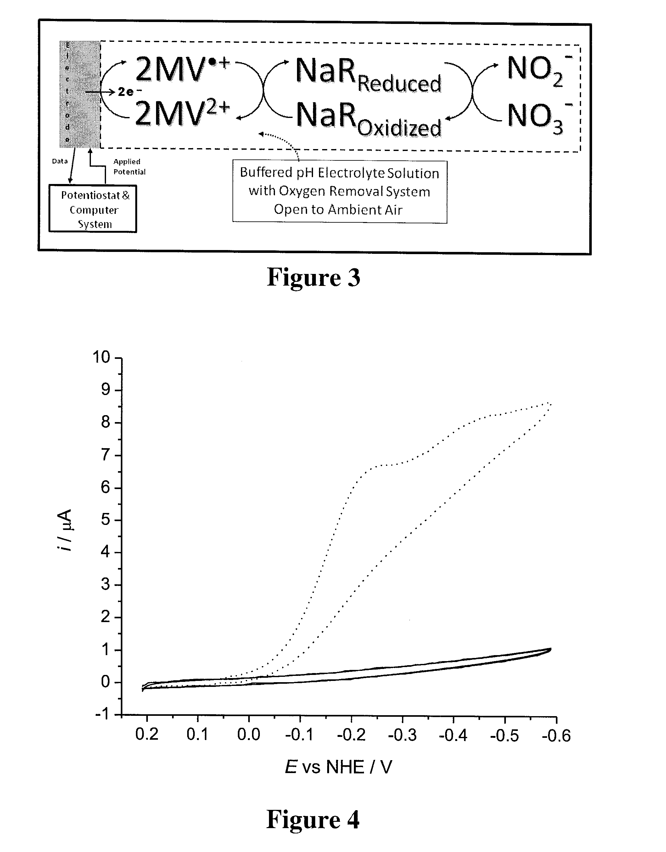 Systems and methods for enzymatic oxygen removal