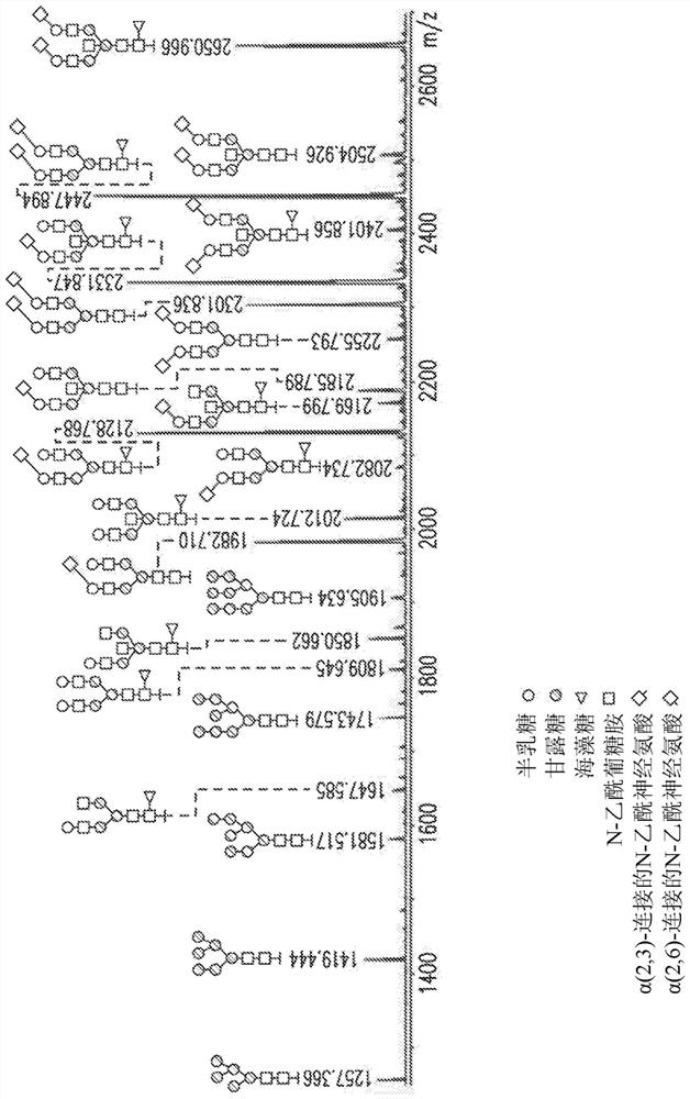 Treatment of diabetic retinopathy with whole human post-translationally modified anti-VEGF Fab