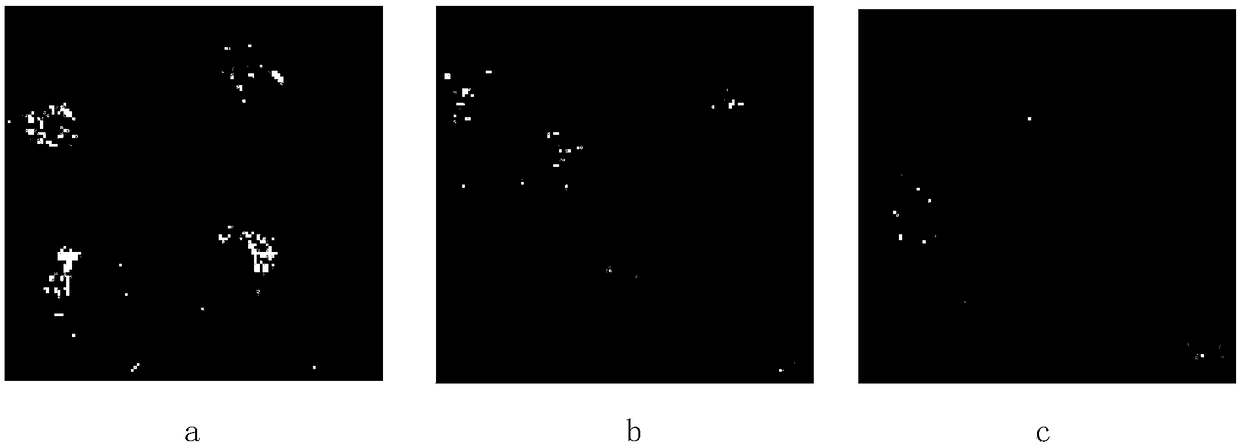 Fluorescent probe and application thereof
