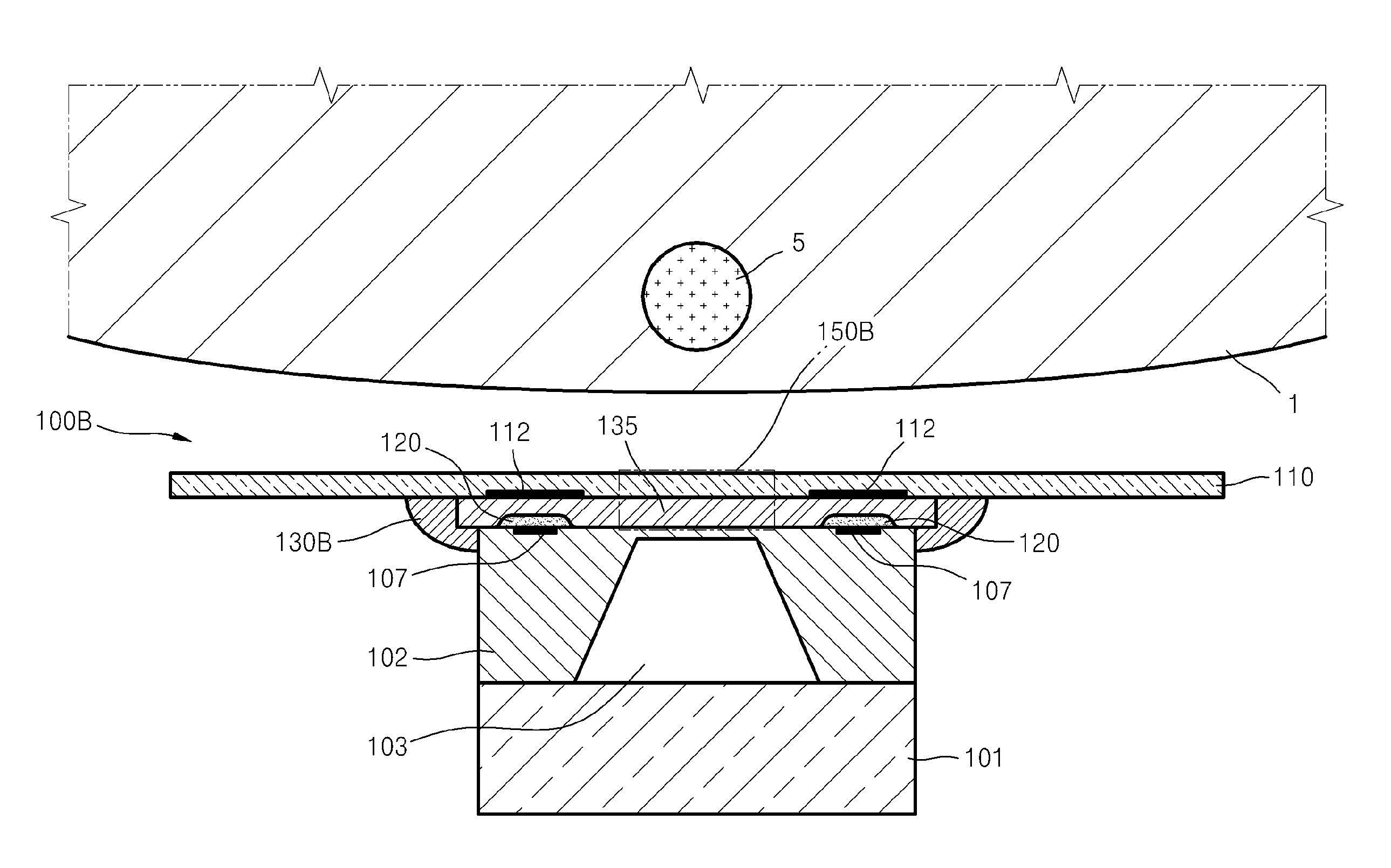 Contact force sensor package, blood pressure meter with the same, and method for fabricating the contact force sensor package