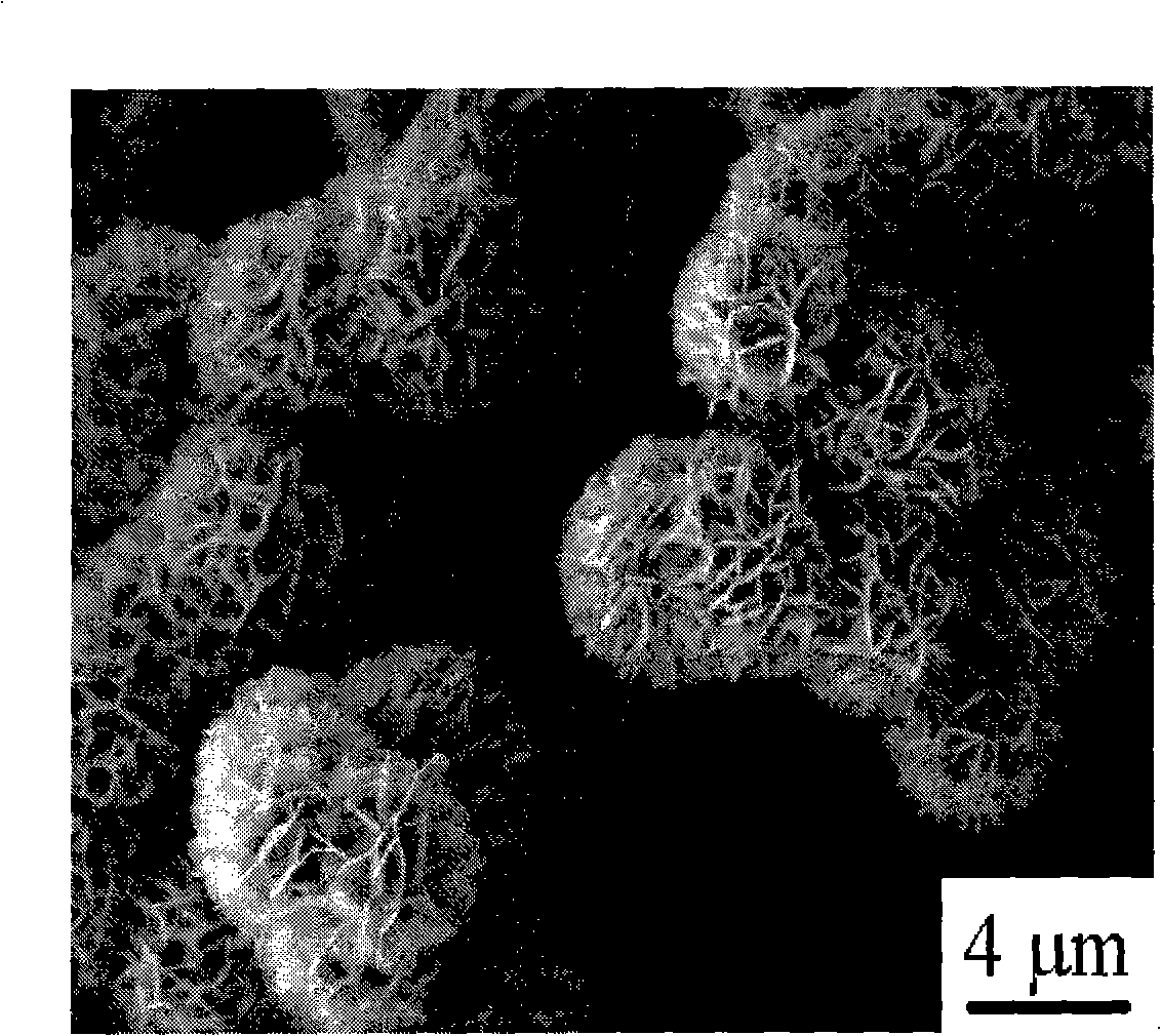 Method for preparing ferromagnetic metal simple-substance microsphere having flower-shaped layering nanostructure
