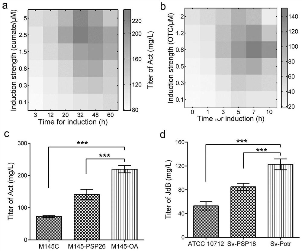 A method for increasing the yield of streptomyces secondary metabolites