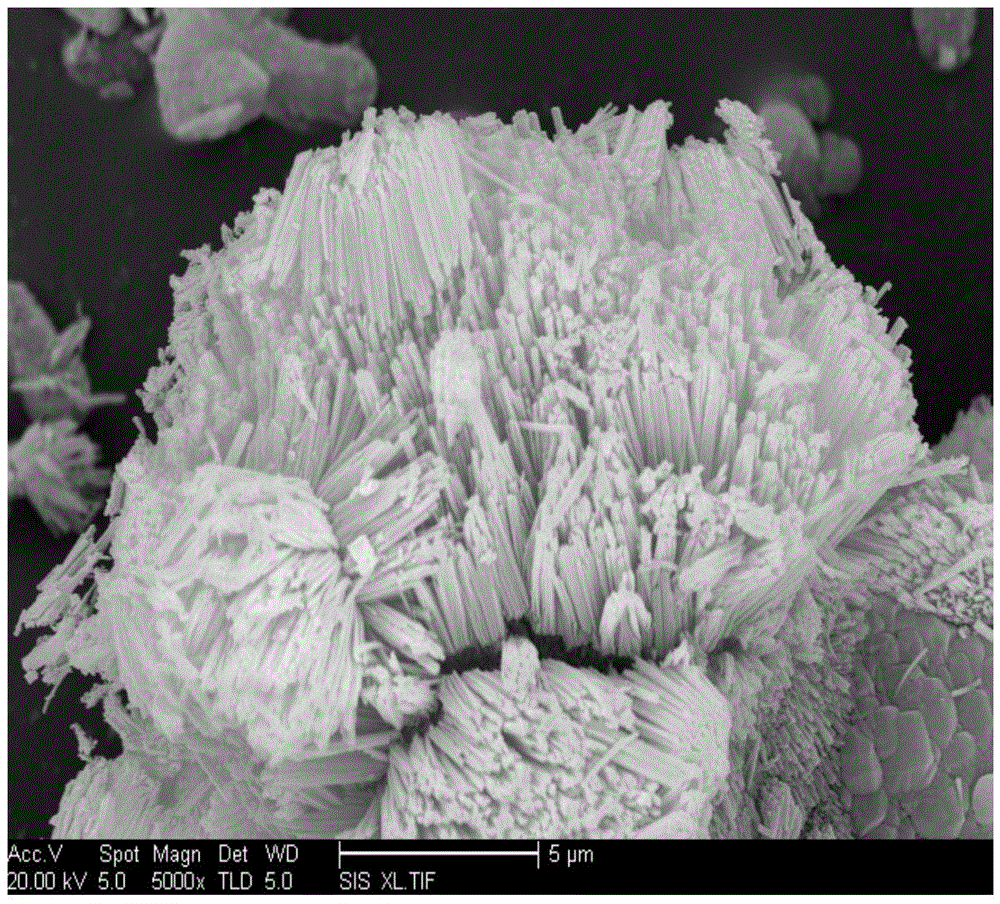 Method for synthesizing CoAPO-41 molecular sieve