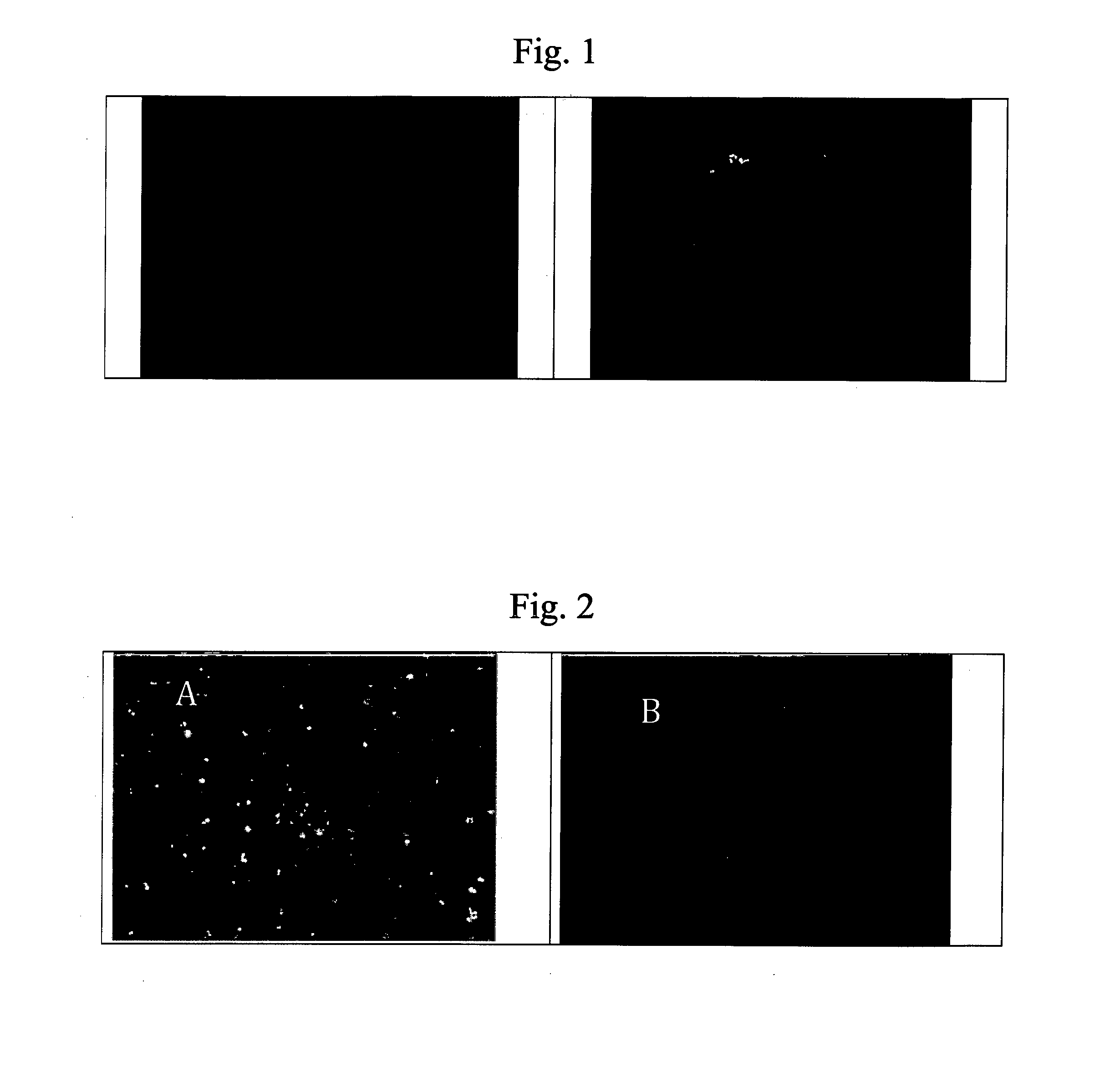 Determination of intracellular bacteria