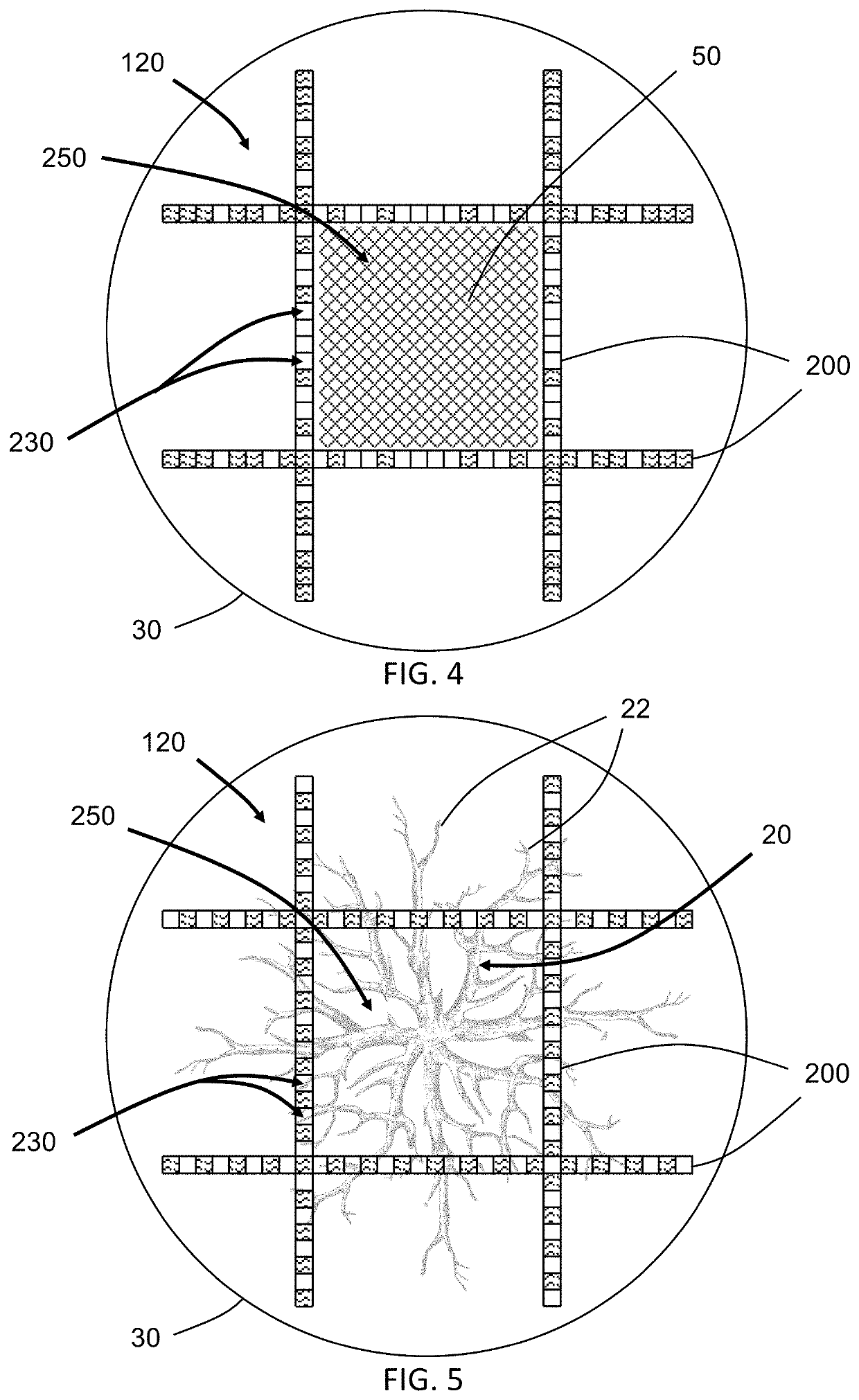 Plant growing structure